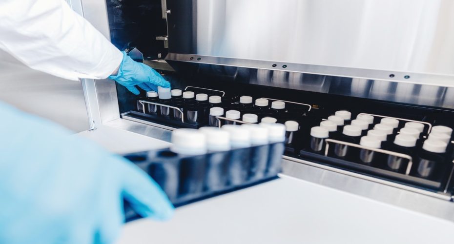 What Makes Peptides Different from Proteins?